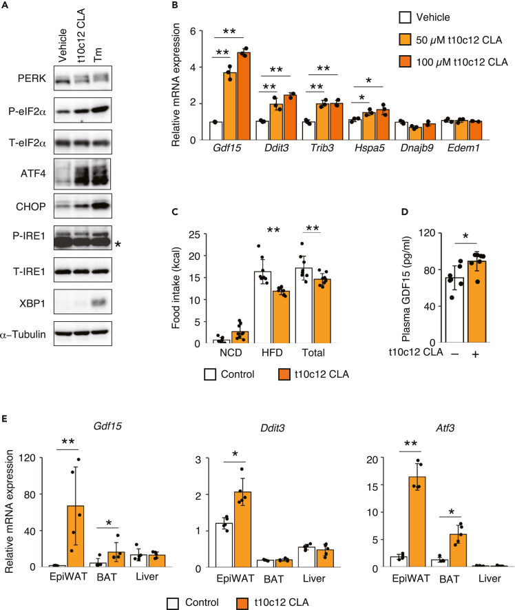 Figure 6