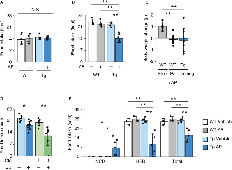 Figure 2