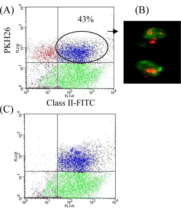 Fig. 4