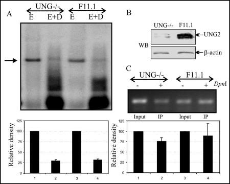 FIG. 5.