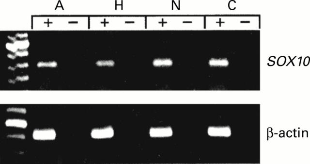 Figure 2  