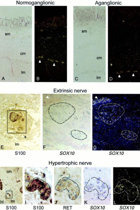 Figure 3  