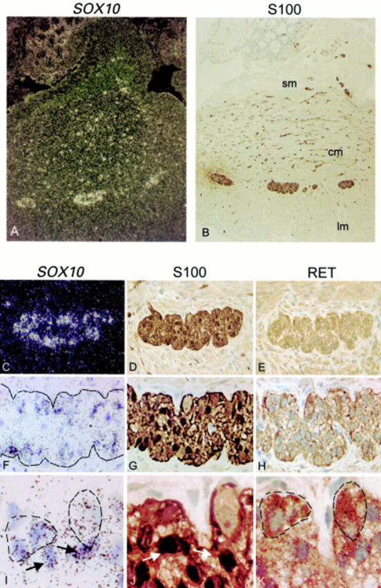 Figure 1  