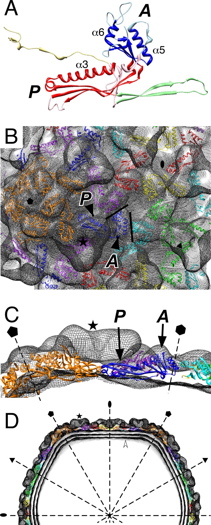 Fig 6