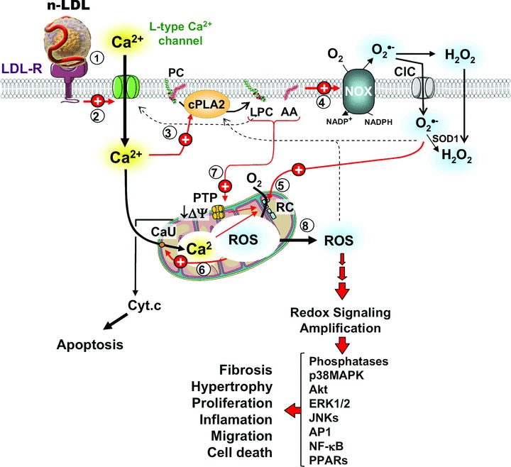 Fig 10