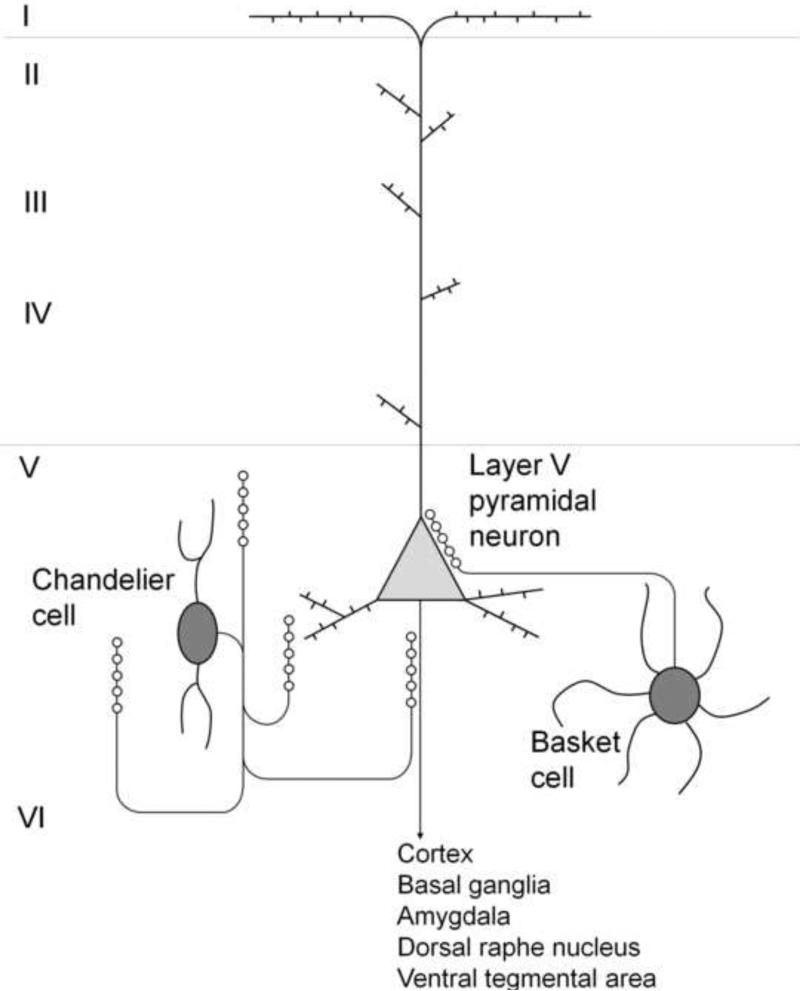 Figure 8