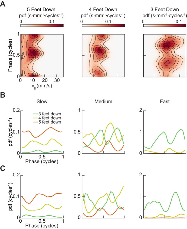 Figure 2—figure supplement 2.