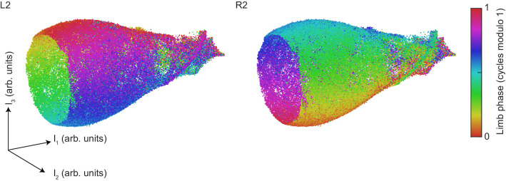 Figure 4—figure supplement 3.