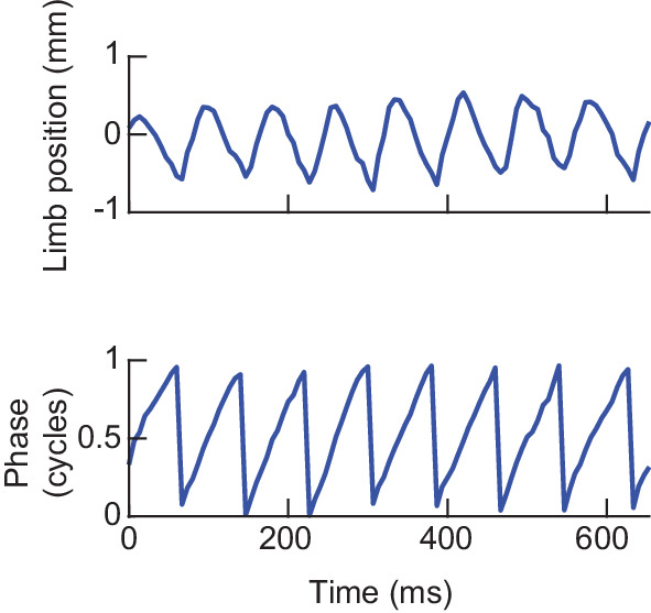 Figure 2—figure supplement 1.