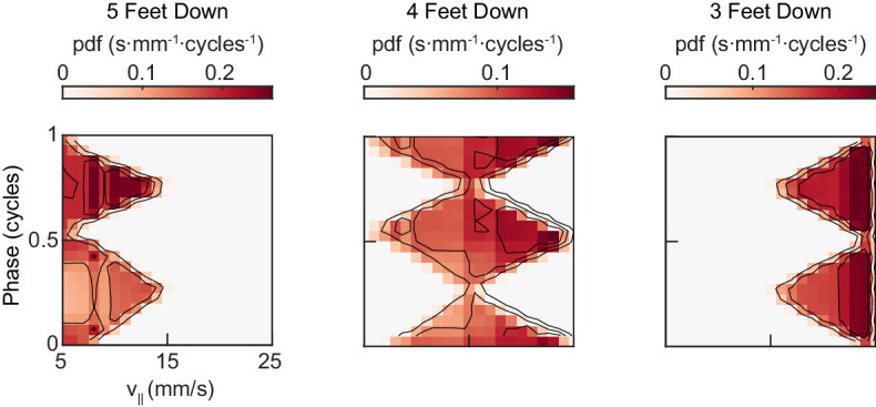 Figure 5—figure supplement 1.