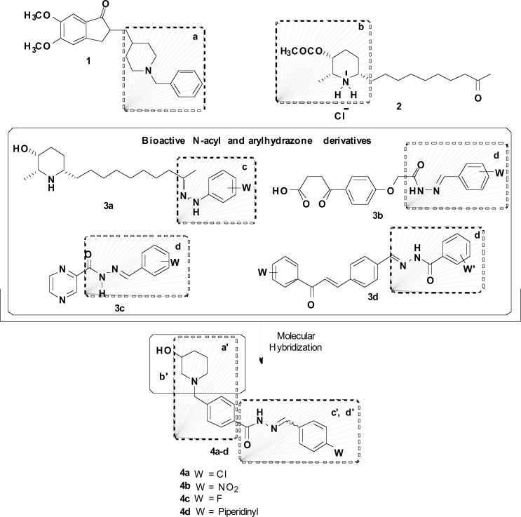 Fig. (1)