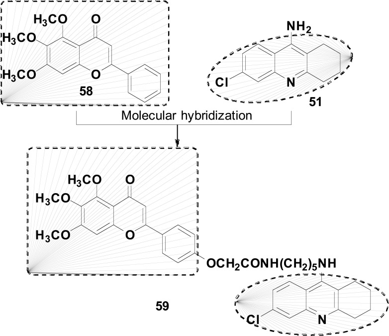 Fig. (24)