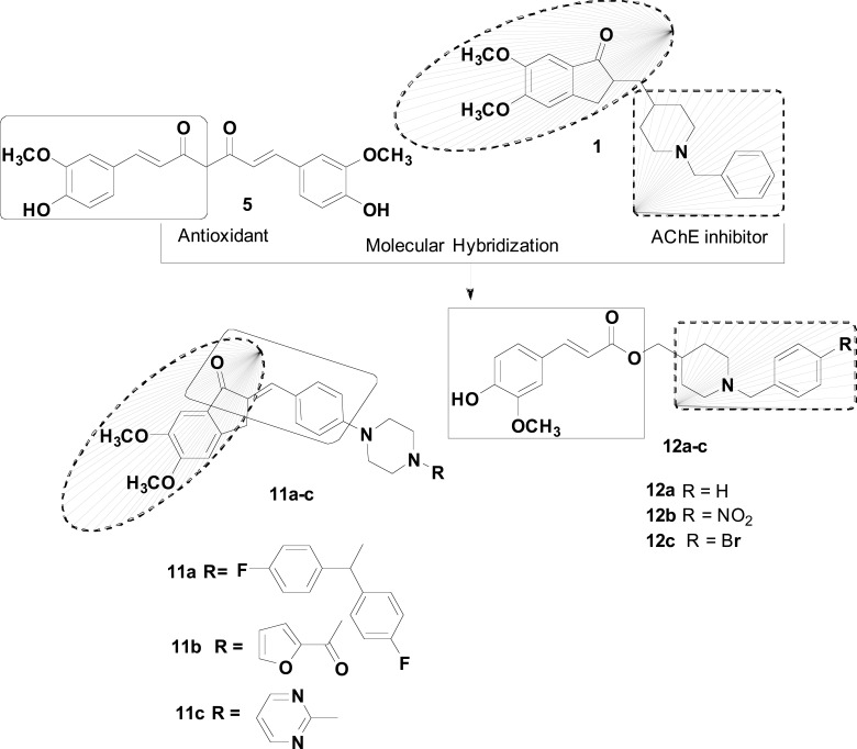 Fig. (5)