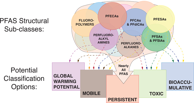 graphic file with name nihms-1650483-f0001.jpg