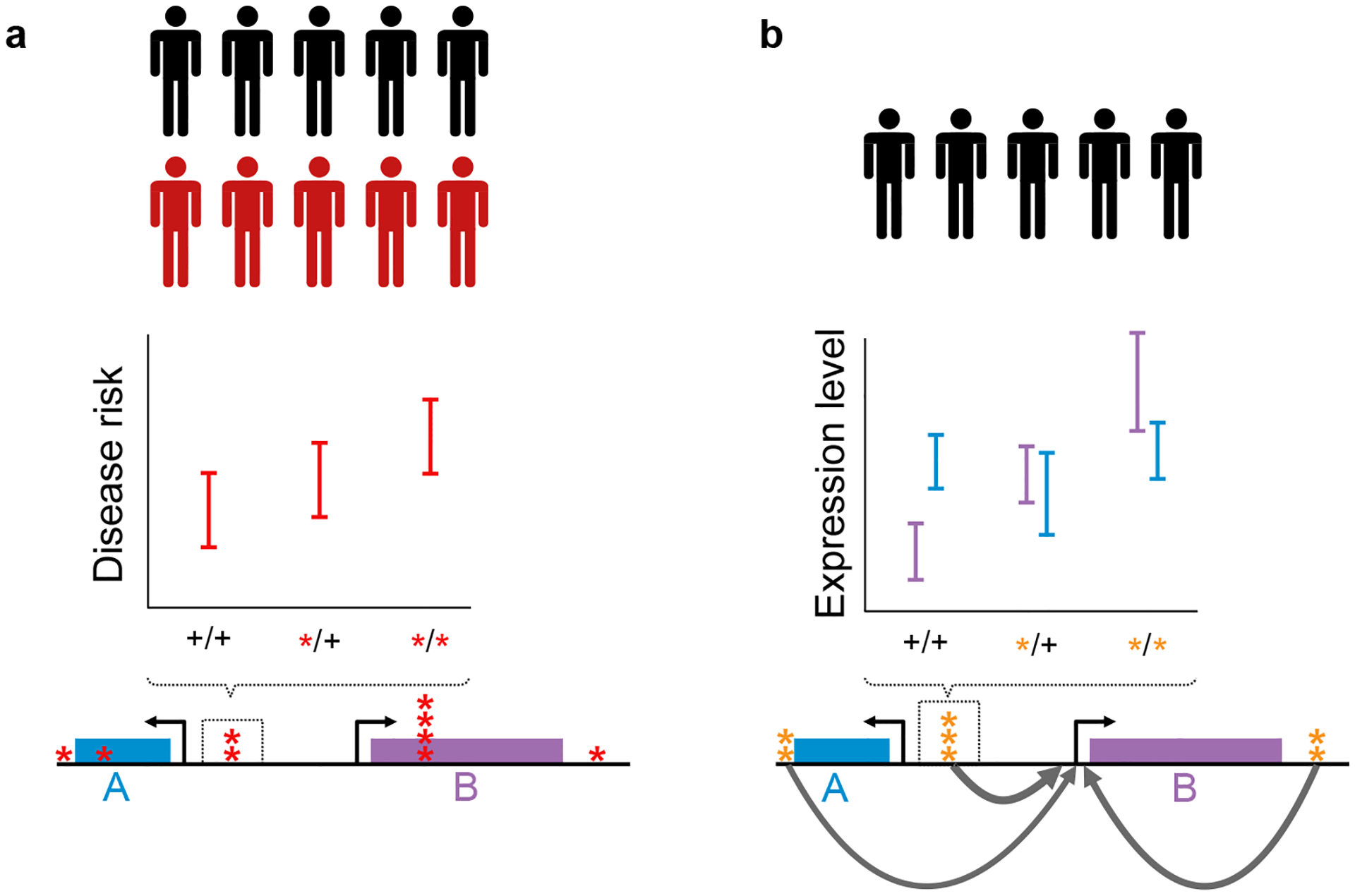 Figure 4: