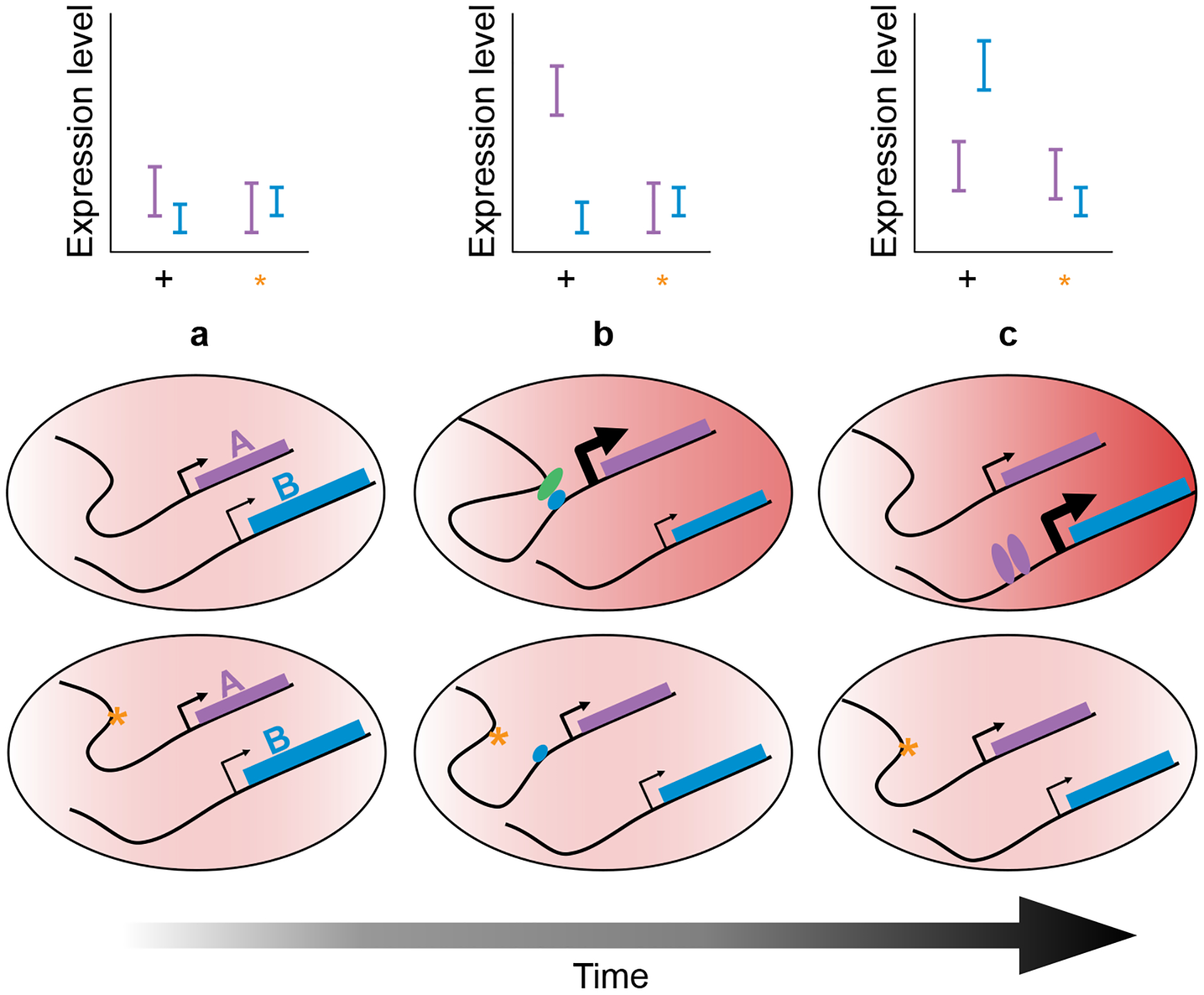 Figure 3: