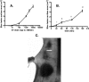 FIG. 1.