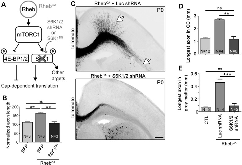 Figure 4.