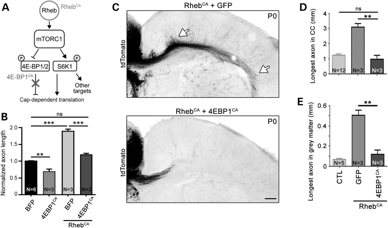 Figure 3.