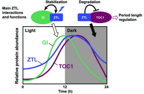 Figure 1—figure supplement 2.