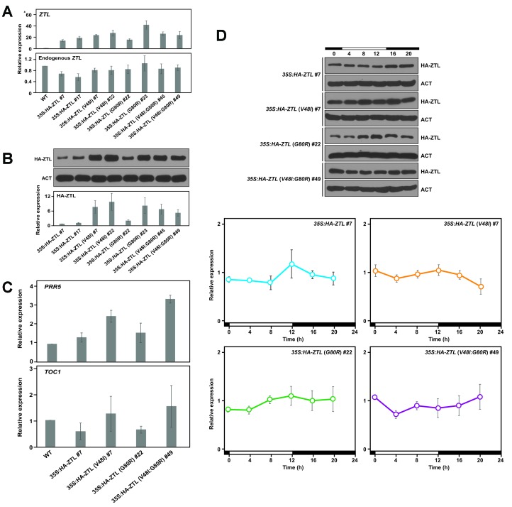 Figure 5—figure supplement 1.