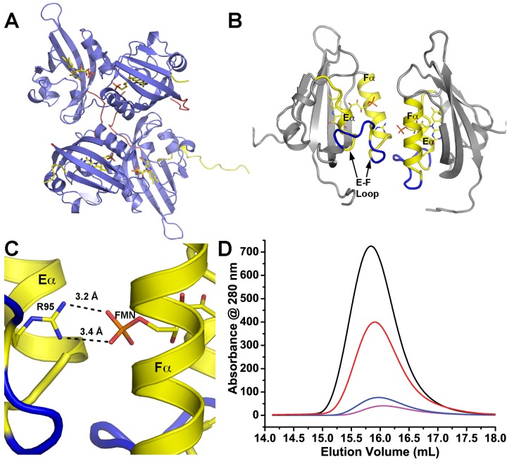 Figure 2—figure supplement 2.