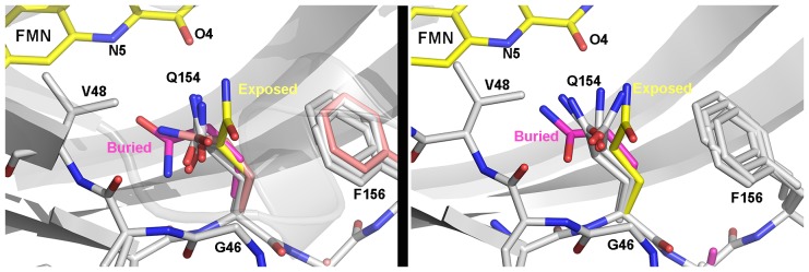 Figure 3—figure supplement 1.