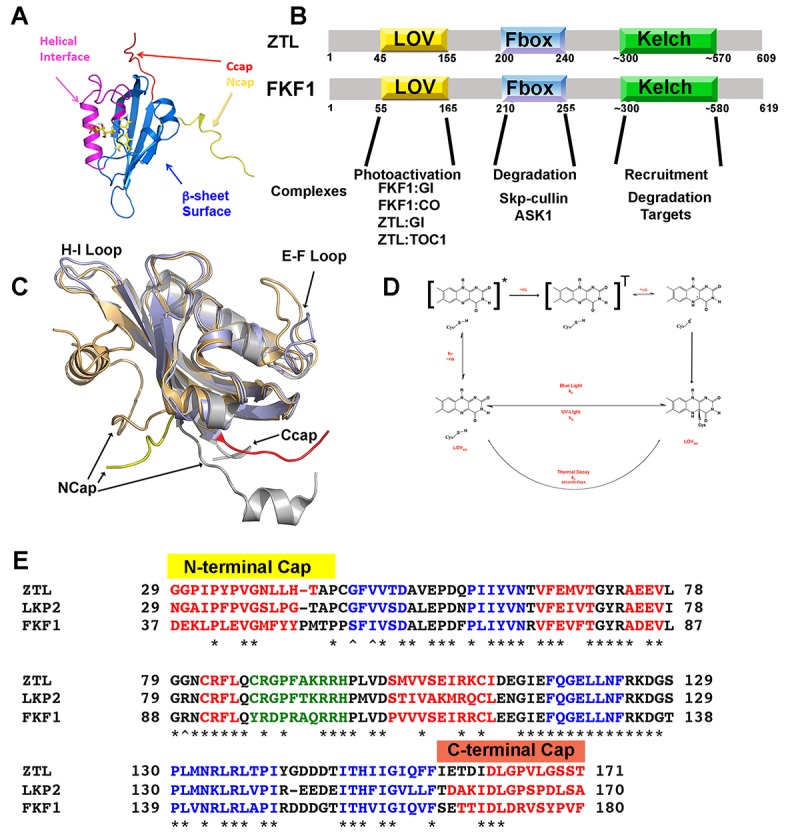 Figure 1—figure supplement 1.