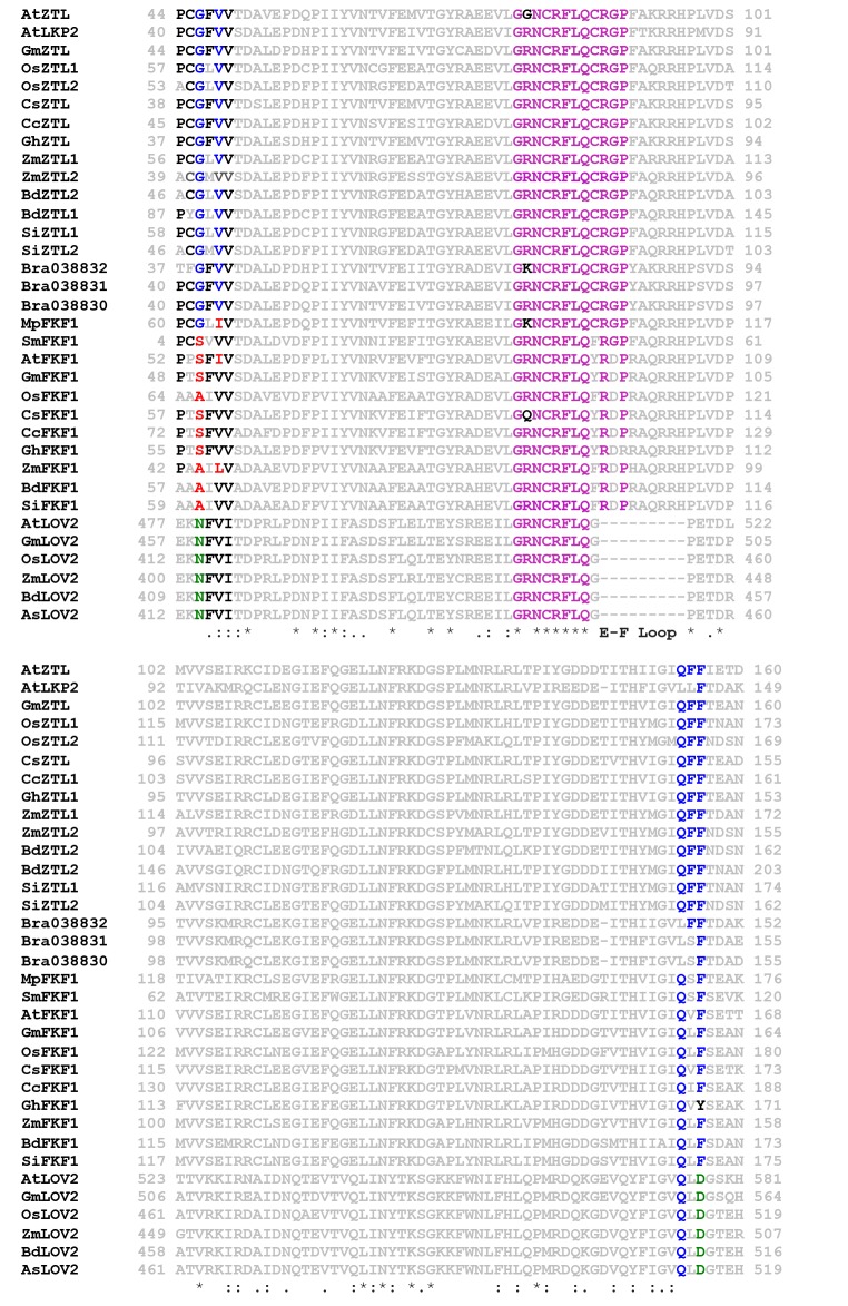 Figure 7—figure supplement 1.