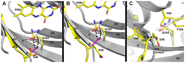 Figure 4—figure supplement 2.