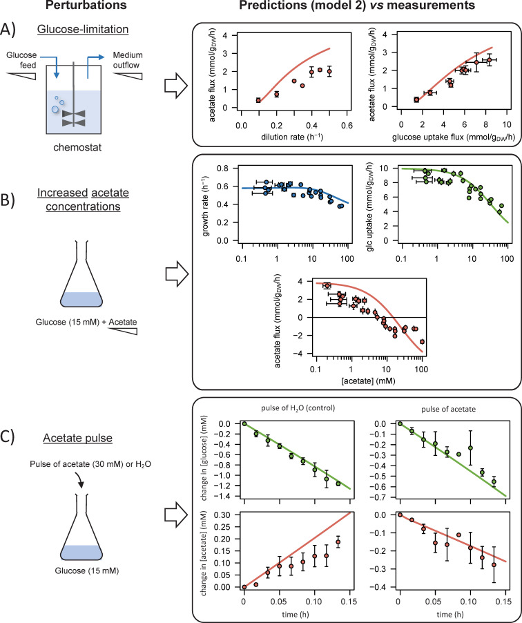 Figure 3—figure supplement 2.