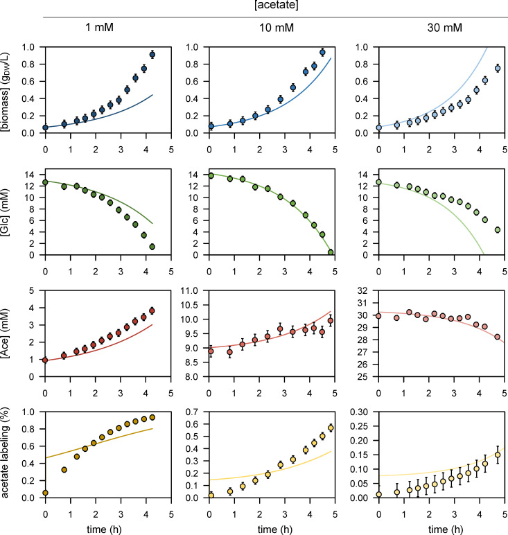 Figure 1—figure supplement 1.