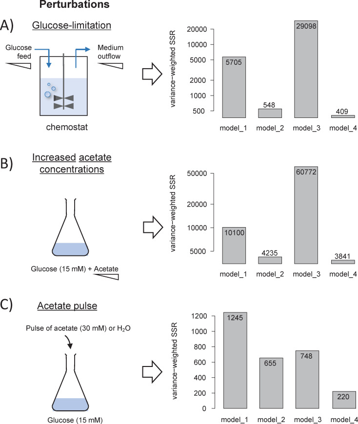 Figure 3—figure supplement 4.