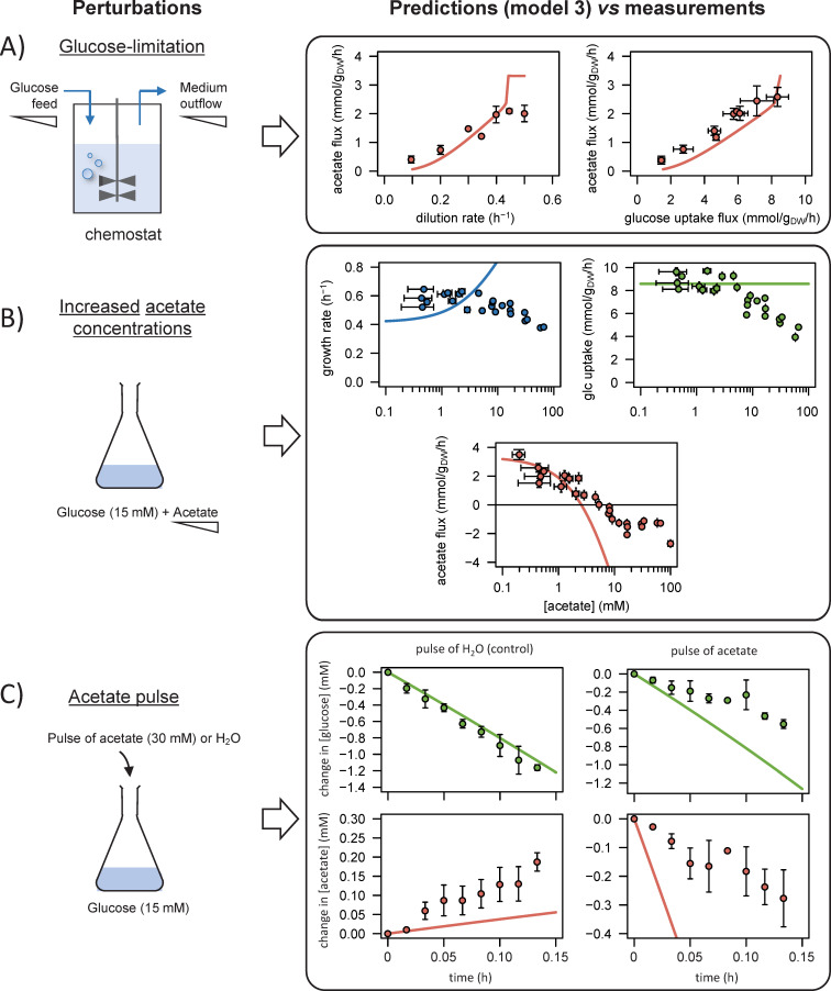 Figure 3—figure supplement 3.