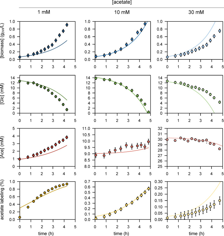 Figure 1—figure supplement 3.