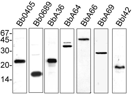 FIG. 5.