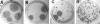 FIG. 2.