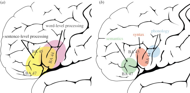 Figure 2.