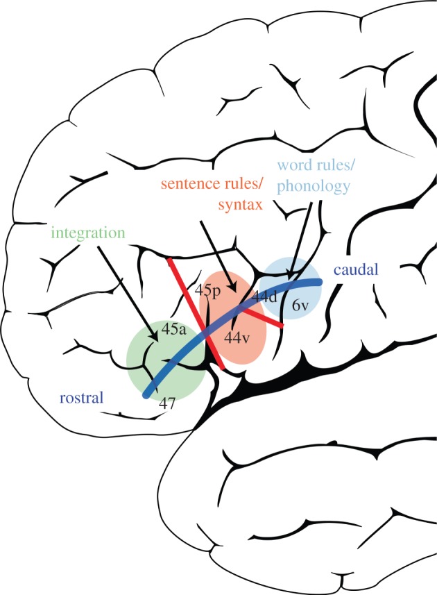 Figure 3.