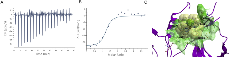 Figure 3