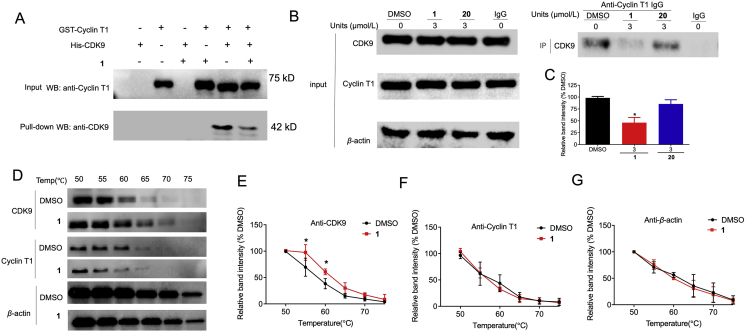 Figure 2