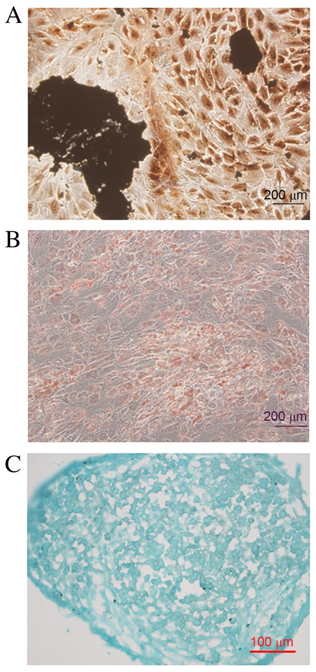 Figure 3.