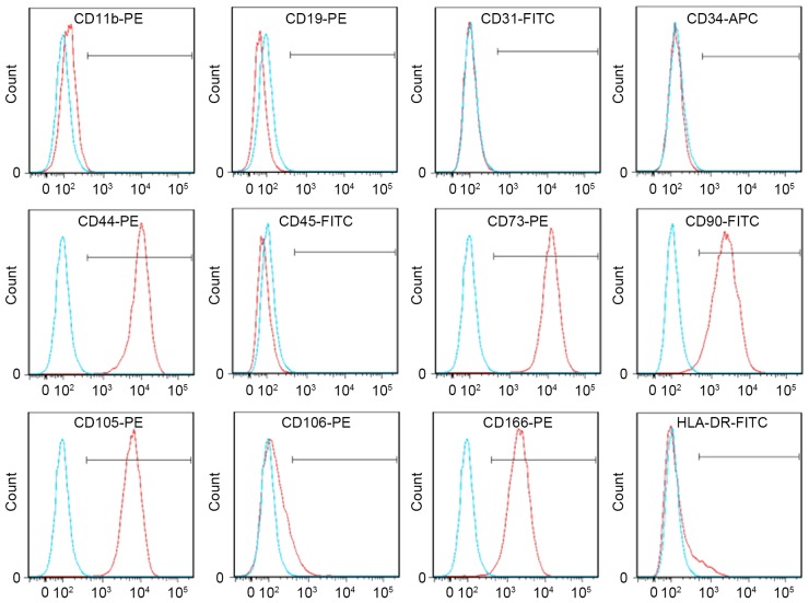 Figure 2.