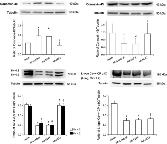 Fig. 10