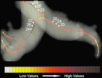 Figure 10