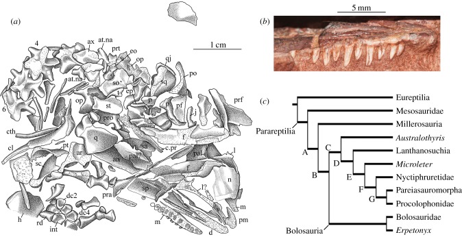 Figure 2.