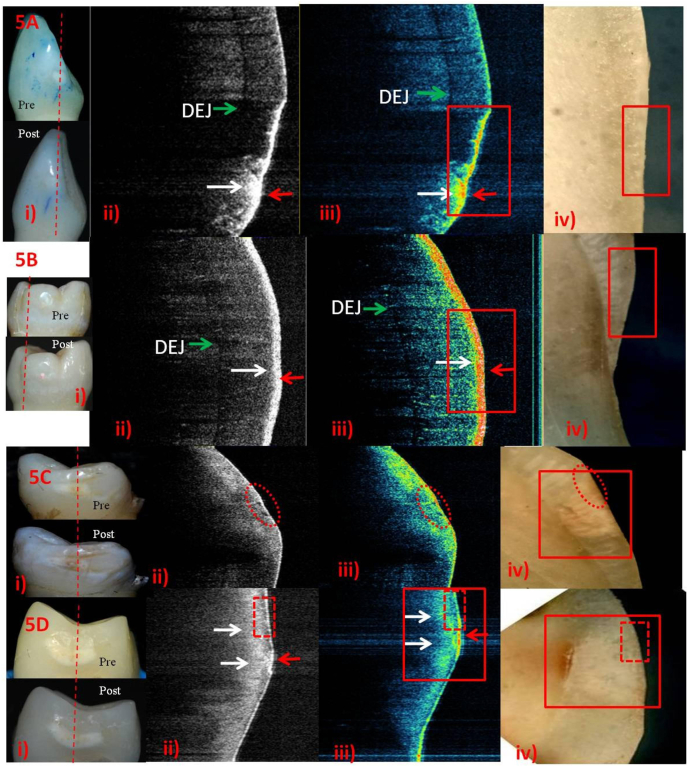 Fig. 5