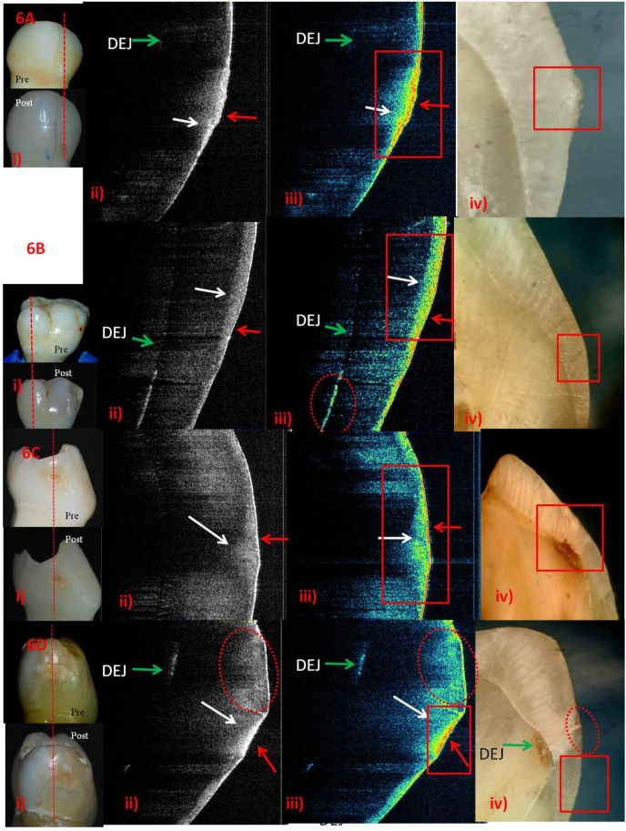 Fig. 6