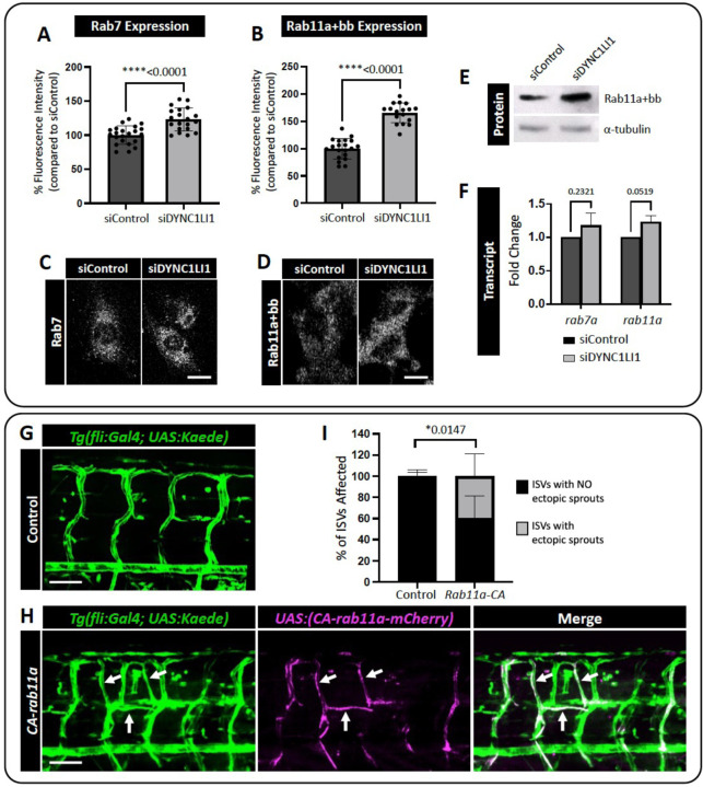 Figure 5: