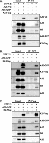 Fig 8